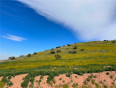  Land for Sale in Acton, California