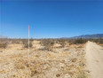  Land for Sale in Pinon Hills, California