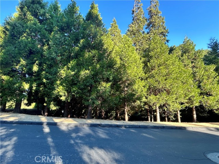  Land for Sale in Lake Arrowhead, California