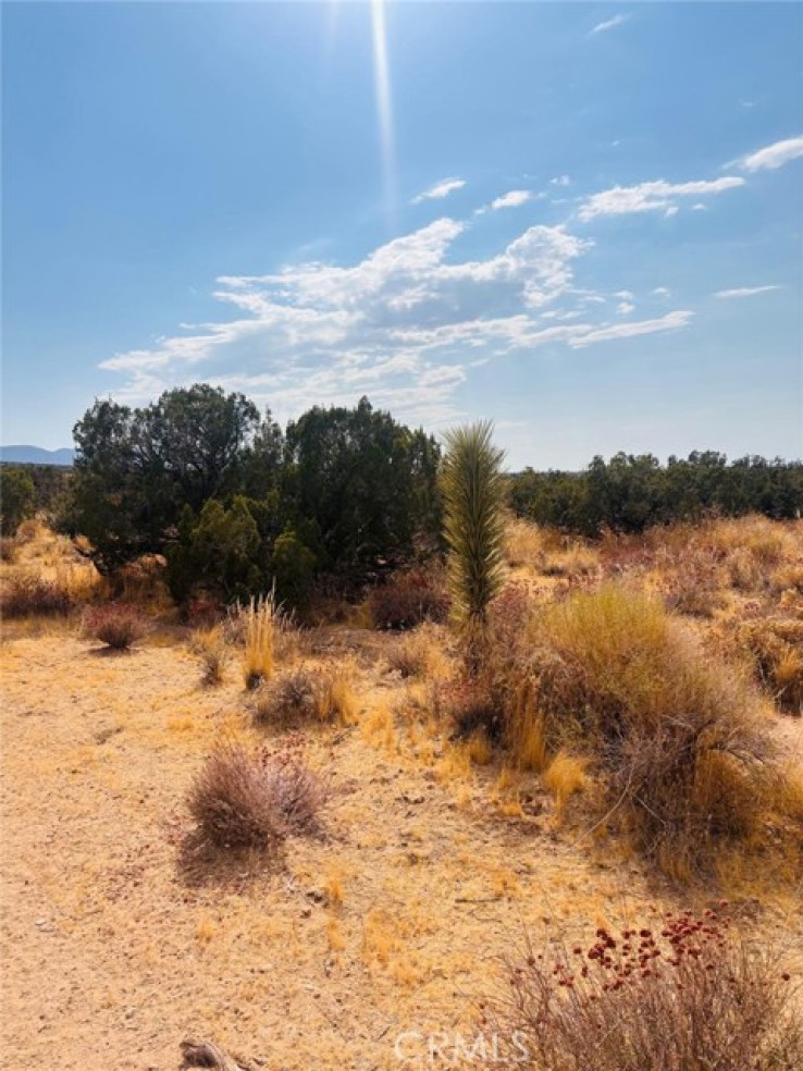  Land for Sale in Llano, California
