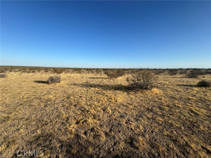  Land for Sale in Helendale, California