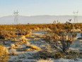  Land for Sale in Phelan, California