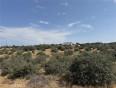  Land for Sale in Phelan, California