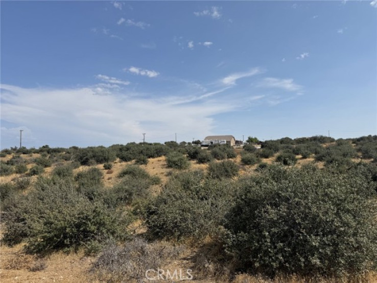  Land for Sale in Phelan, California