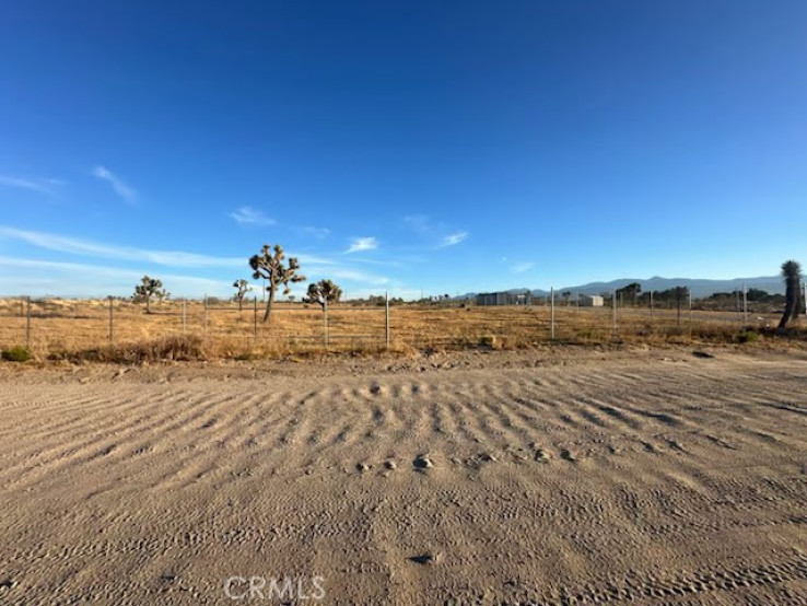  Land for Sale in Phelan, California