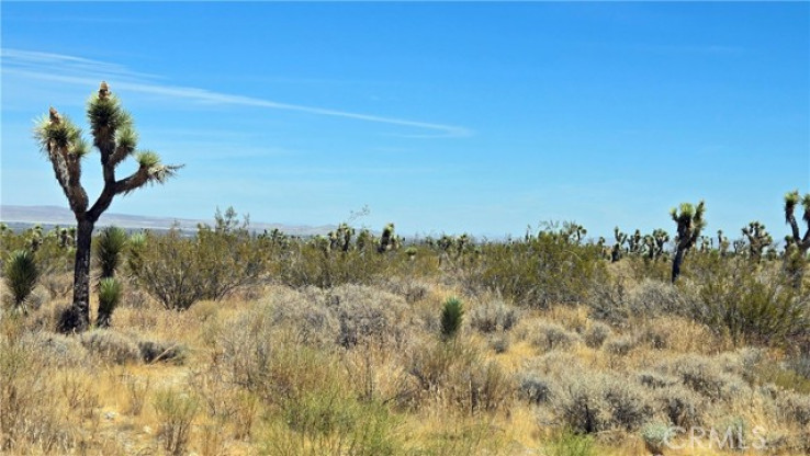  Land for Sale in Llano, California