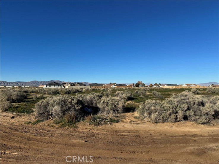  Land for Sale in California City, California