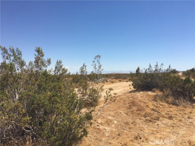  Land for Sale in Mojave, California