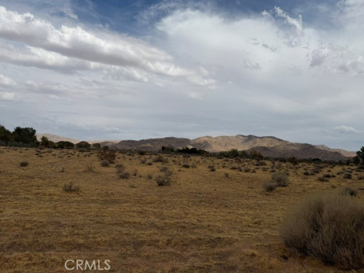  Land for Sale in Apple Valley, California
