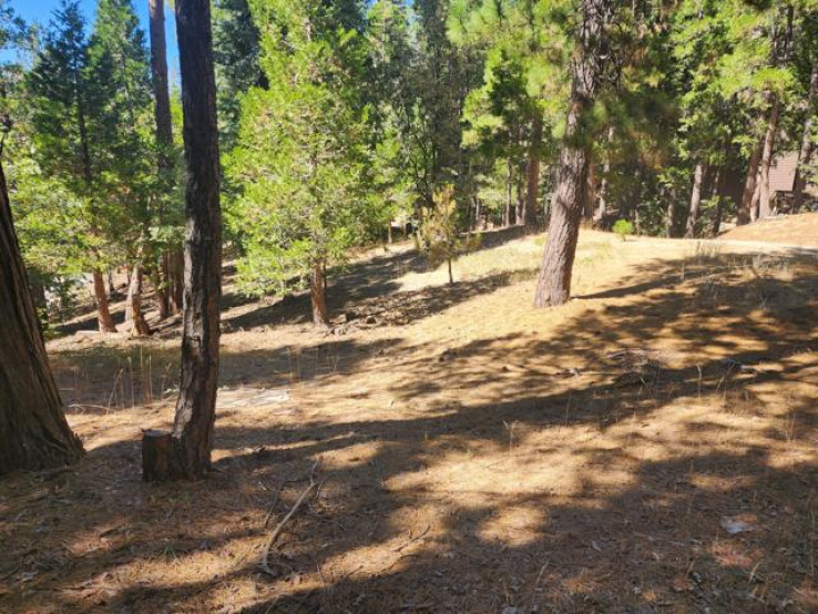 Land for Sale in Lake Arrowhead, California