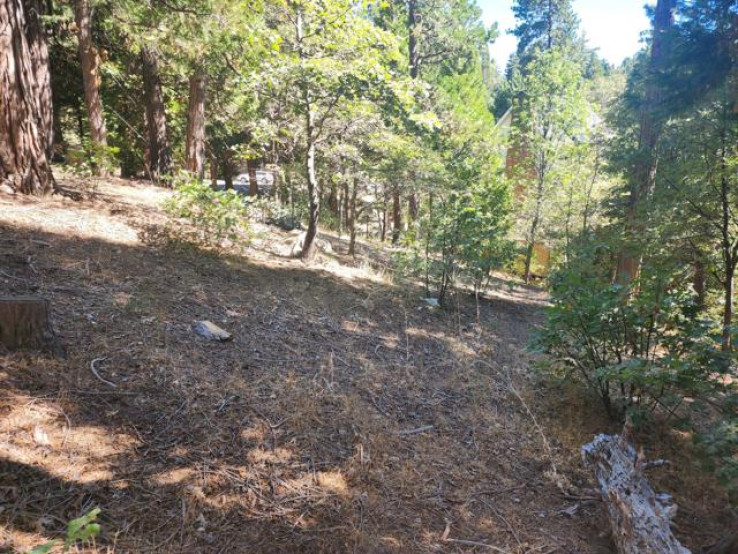  Land for Sale in Lake Arrowhead, California