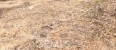  Land for Sale in Lake Arrowhead, California