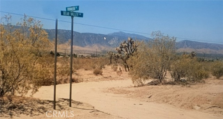  Land for Sale in Pinon Hills, California