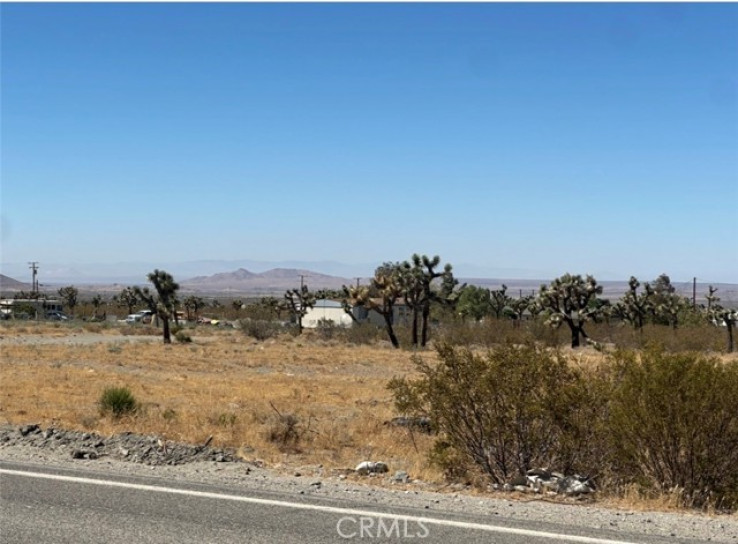 Land in Pinon Hills