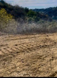  Land for Sale in Los Angeles, California