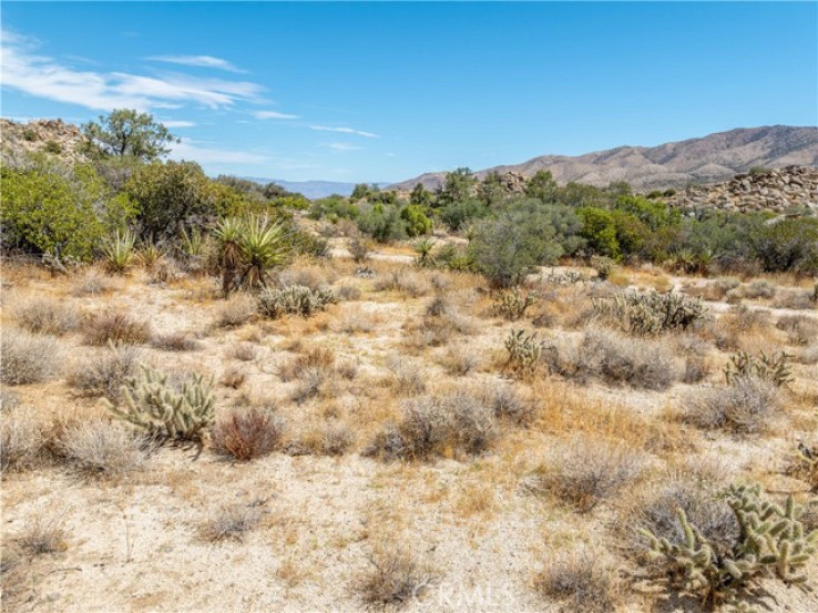 Land in Mountain Center