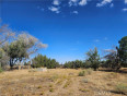  Land for Sale in Phelan, California