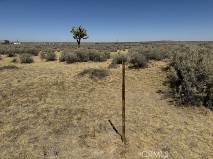Land in Palmdale