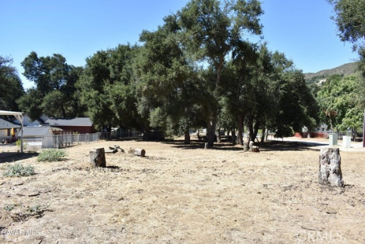Land in Lake Elizabeth