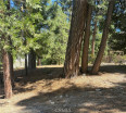  Land for Sale in Lake Arrowhead, California