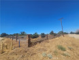  Land for Sale in Quartz Hill, California