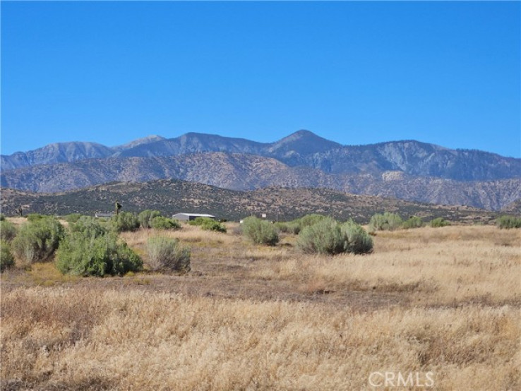  Land for Sale in Phelan, California