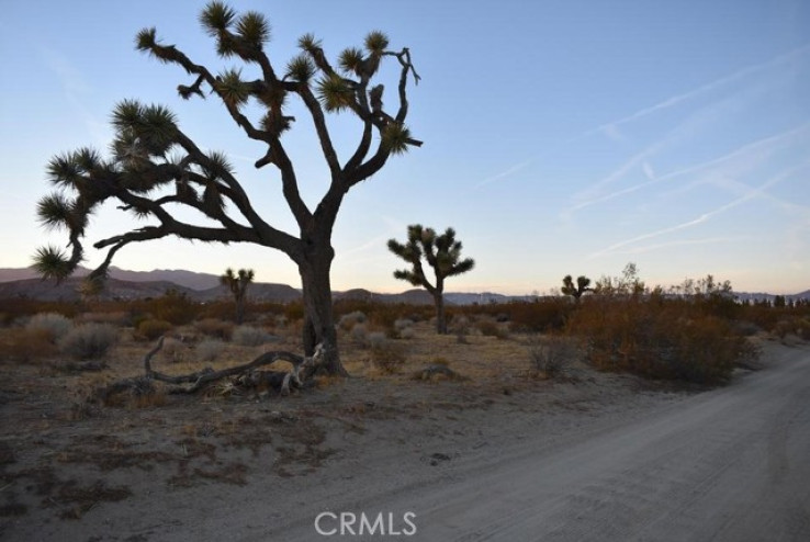  Land for Sale in Mojave, California