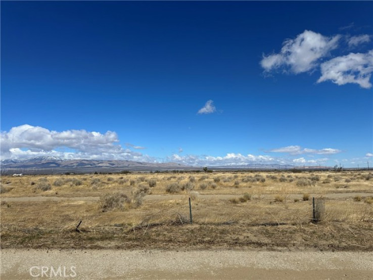  Land for Sale in Rosamond, California