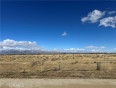  Land for Sale in Rosamond, California