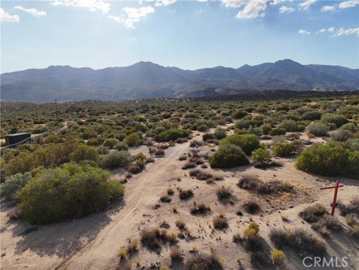  Land for Sale in Pinyon Pines, California