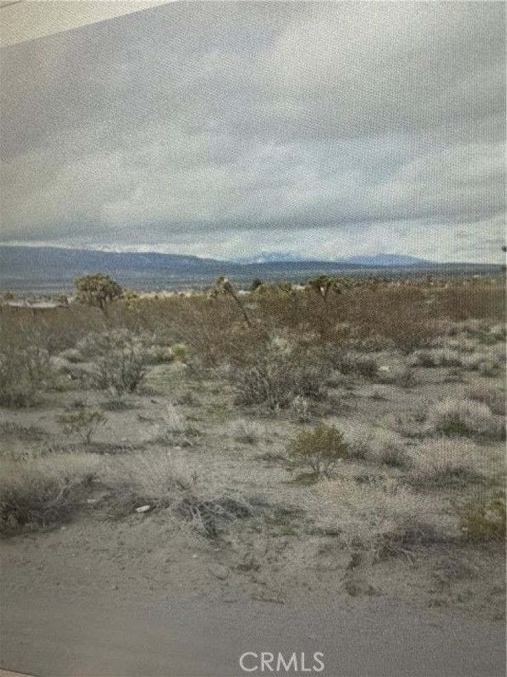  Land for Sale in Pinon Hills, California
