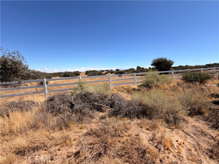  Land for Sale in Phelan, California