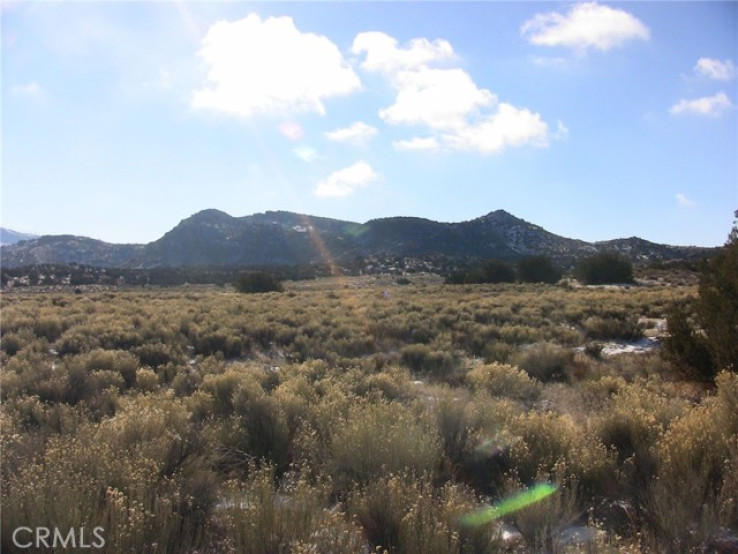  Land for Sale in Tehachapi, California
