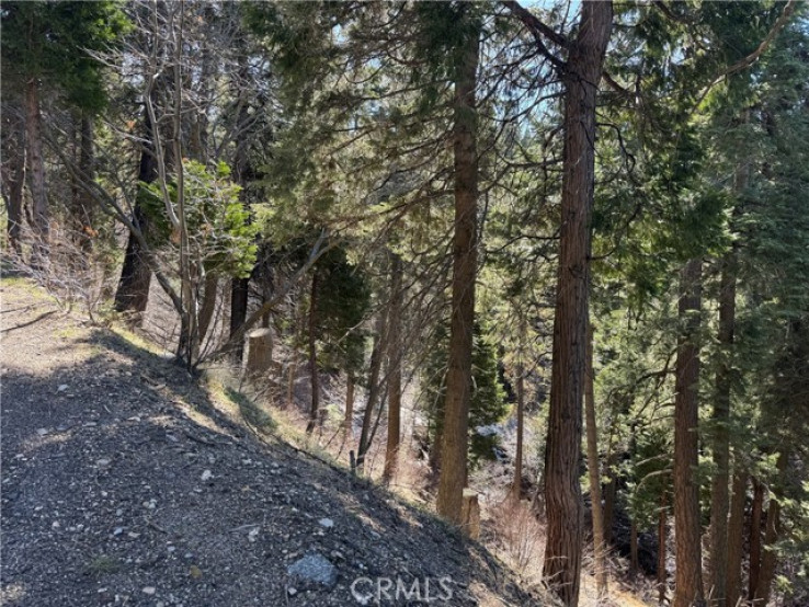  Land for Sale in Lake Arrowhead, California