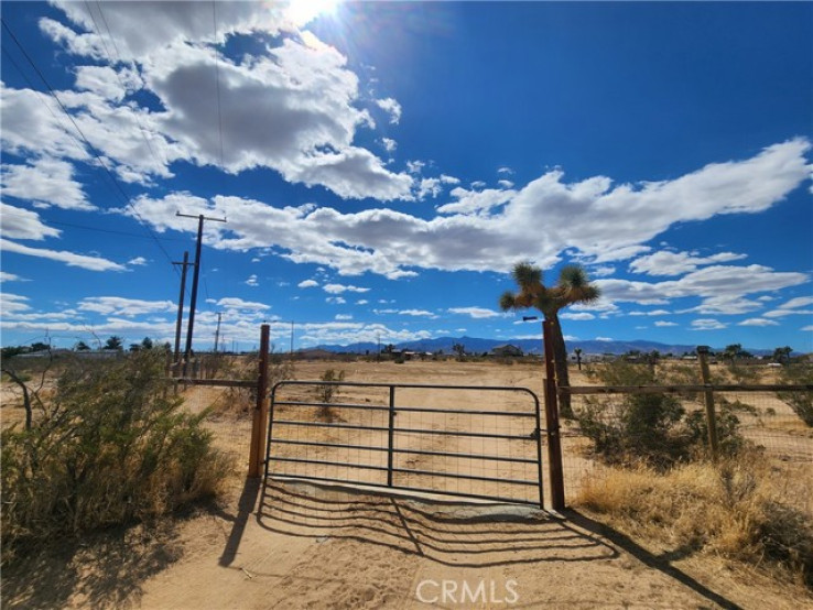  Land for Sale in Phelan, California