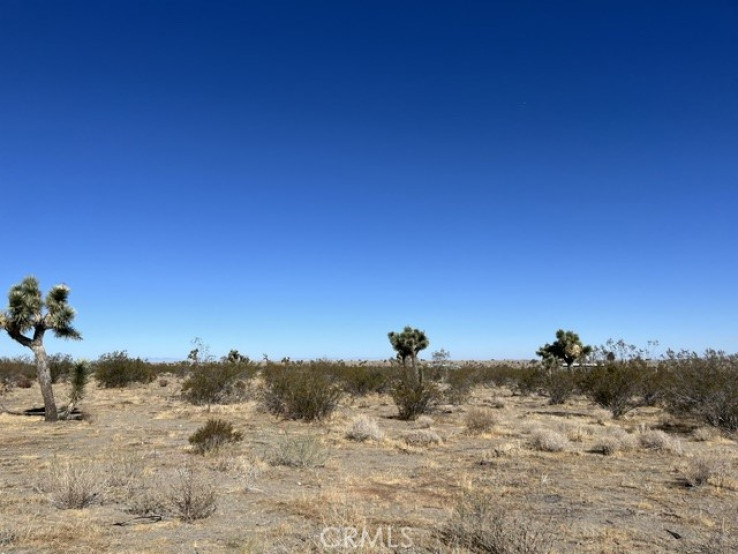  Land for Sale in Phelan, California