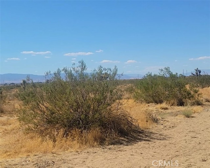  Land for Sale in Adelanto, California