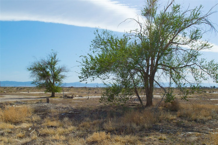  Land for Sale in Rosamond, California