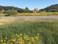  Land for Sale in Tehachapi, California