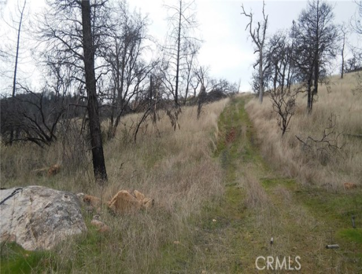  Land for Sale in Oroville, California