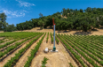  Land for Sale in Paso Robles, California