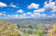  Commercial for Sale in Fallbrook, California